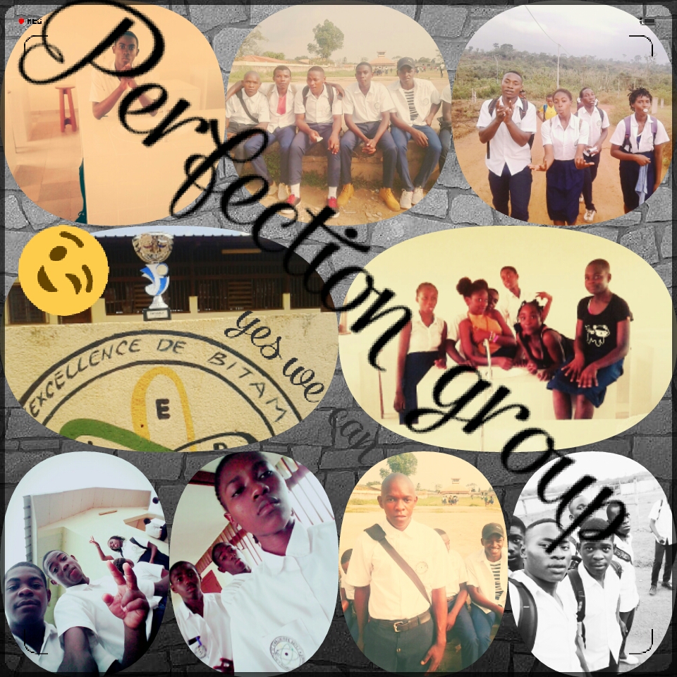 Perfection group