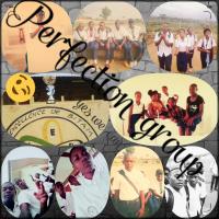 Perfection group